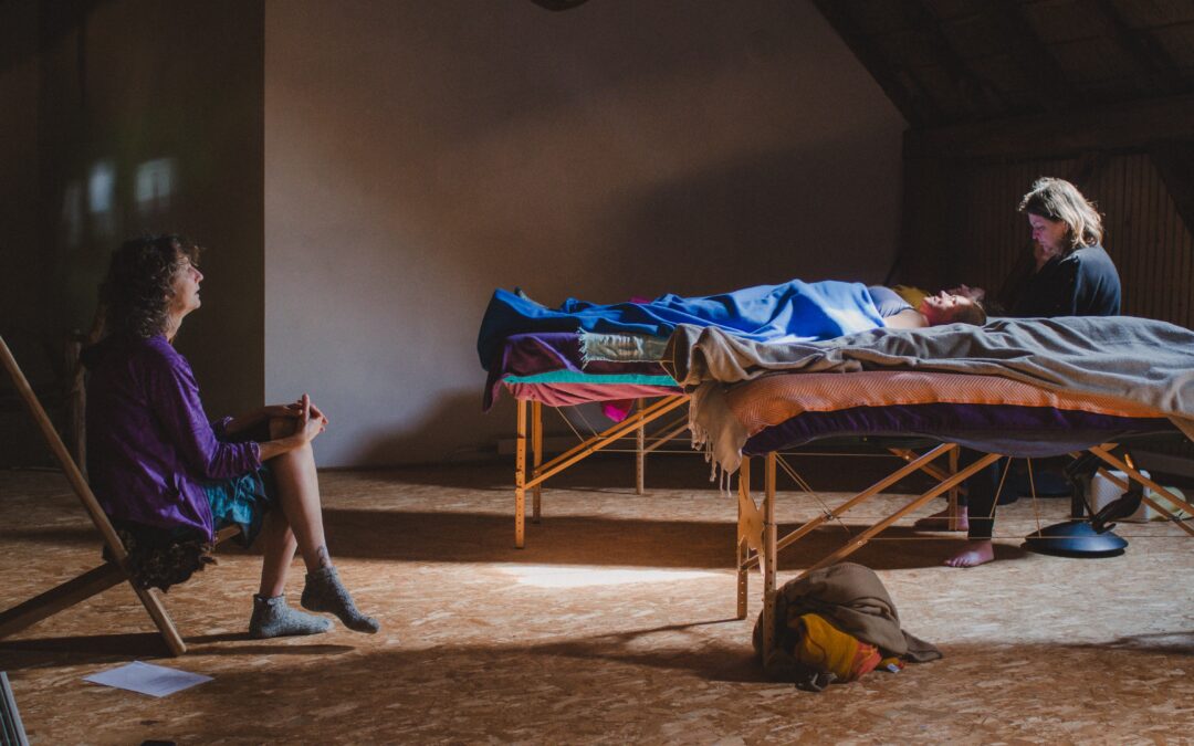 Shamanic Cranio Basics I